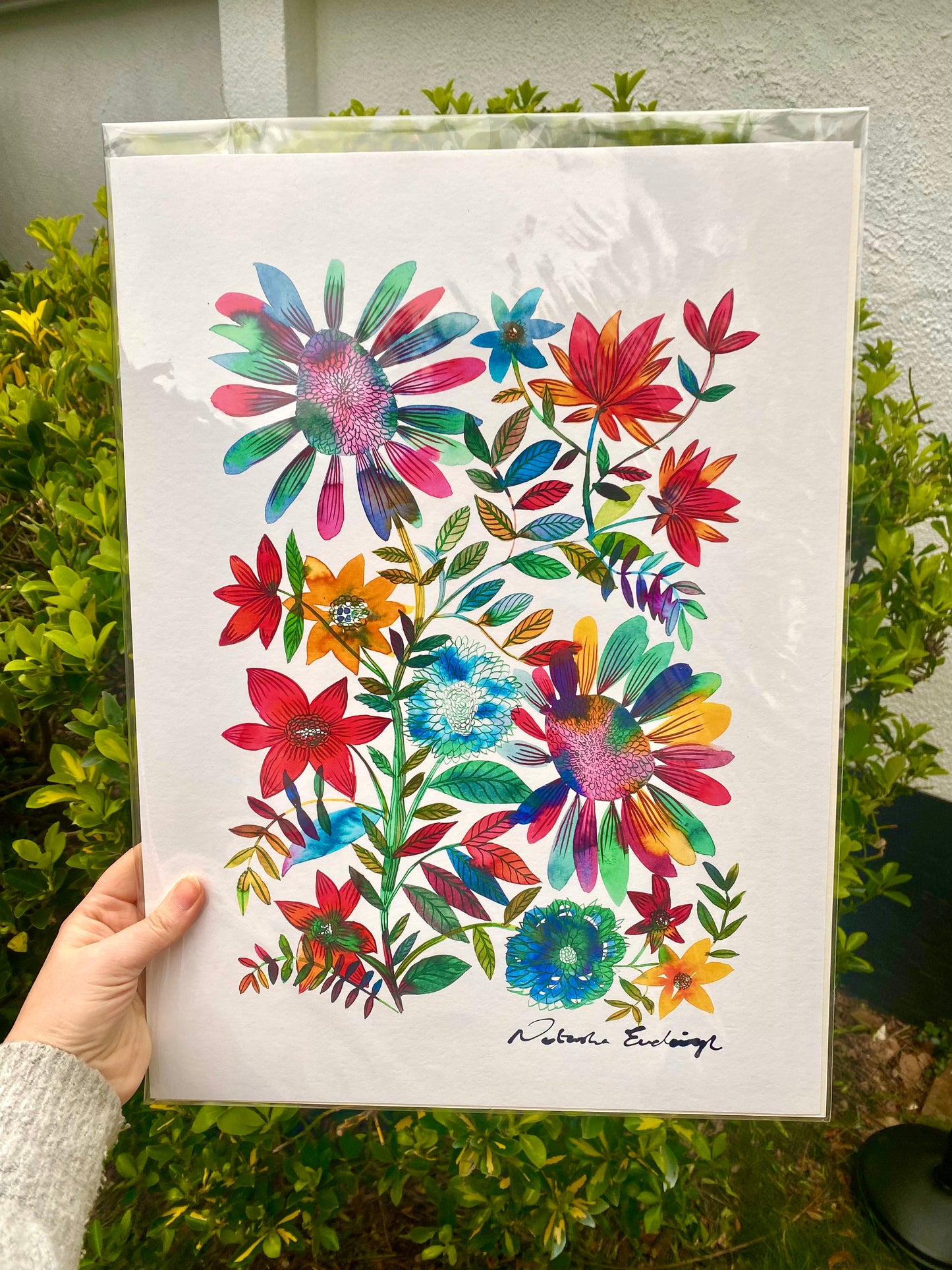 Art Print - Where Colours Grow
