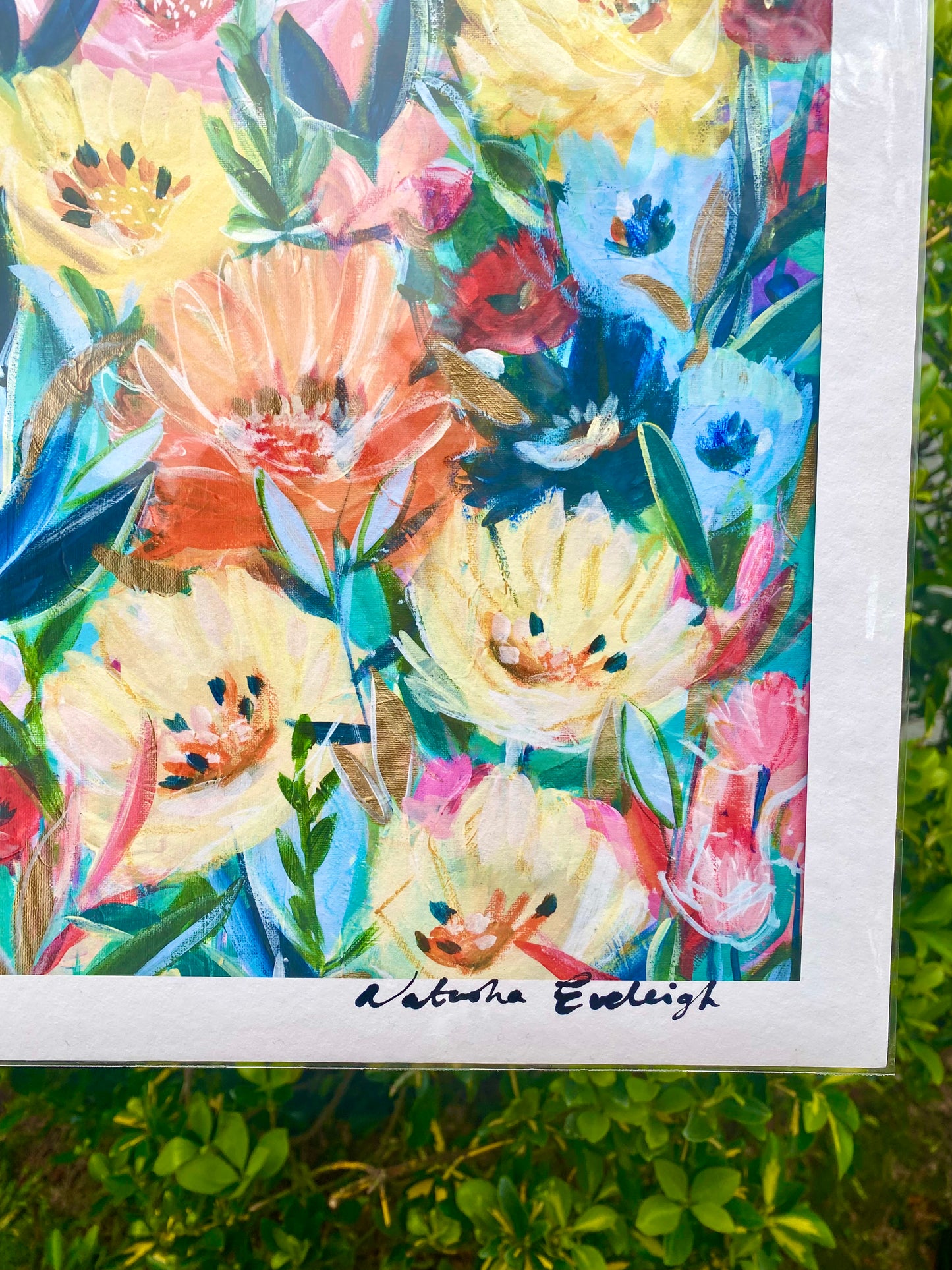 Art Print - Fresh Excitement